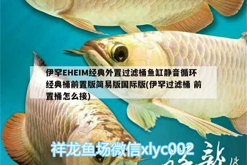 伊罕EHEIM經典外置過濾桶魚缸靜音循環經典桶前置版簡易版國際版(伊罕過濾桶前置桶怎么接)