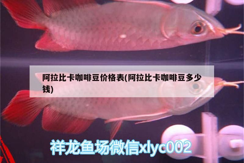 新到家的小虎魚 阿拉比卡咖啡豆價(jià)格表(阿拉比卡咖啡豆多少錢) 馬來西亞咖啡 阿拉比卡咖啡豆價(jià)格表(阿拉比卡咖啡豆多少錢) 阿拉比卡咖啡豆價(jià)格表(阿拉比卡咖啡豆多少錢) 馬來西亞咖啡