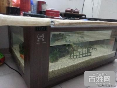廣州金魚缸定做（在廣州定做一個金魚缸可以通過以下途徑獲取更多信息）