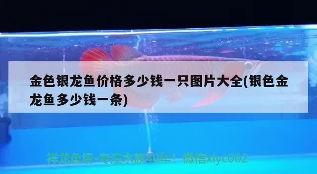 歐柏龍魚缸售后服務電話，歐博龍魚缸用戶評價匯總 歐柏龍魚缸售后服務電話，歐博龍魚缸用戶評價匯總 魚缸百科 第2張