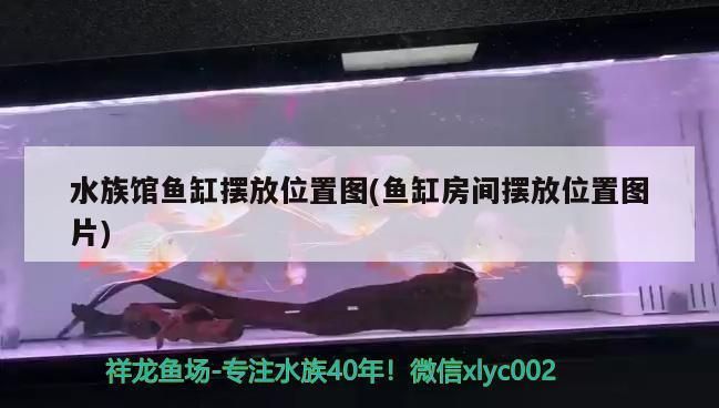 歐柏龍魚缸售后服務電話，歐博龍魚缸用戶評價匯總 歐柏龍魚缸售后服務電話，歐博龍魚缸用戶評價匯總 魚缸百科 第3張