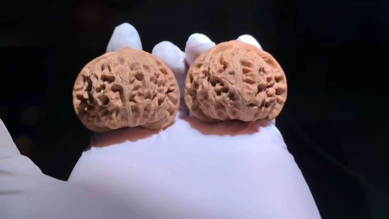極品·桃心宮燈 極品·桃心宮燈 龍魚論壇