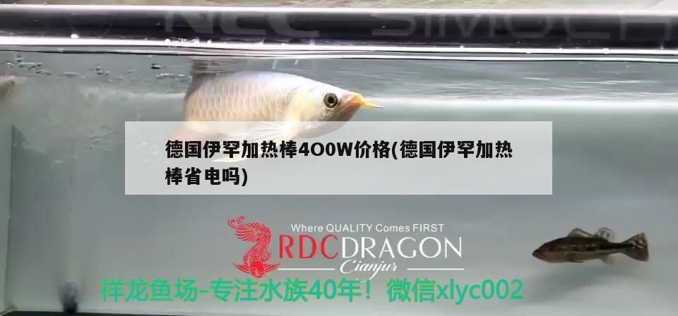 德國伊罕加熱棒4O0W價(jià)格(德國伊罕加熱棒省電嗎)