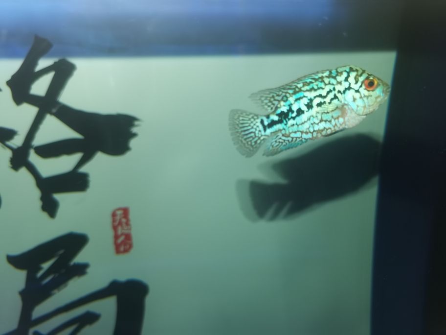 繼續發力中！阿泰加油[qiaoda][qiaoda][qiaoda][qiaoda]