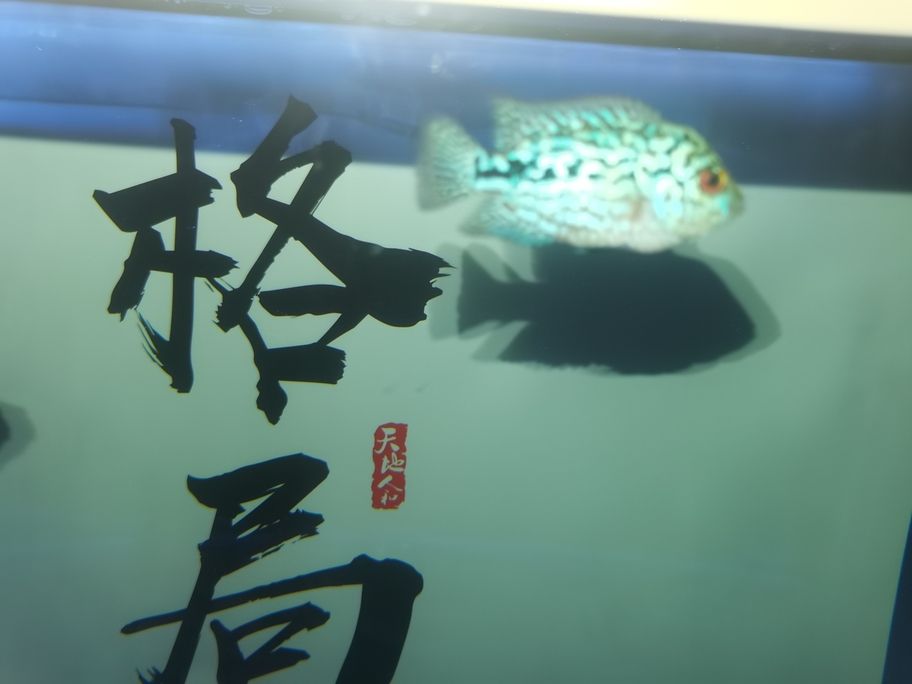 繼續發力中！阿泰加油[qiaoda][qiaoda][qiaoda][qiaoda]
