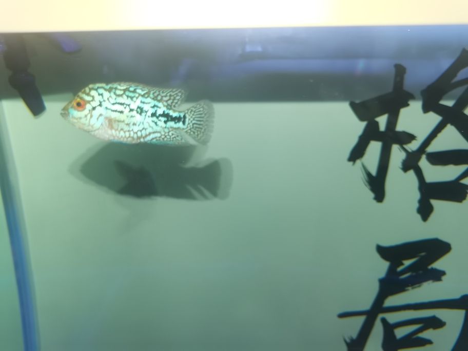 繼續發力中！阿泰加油[qiaoda][qiaoda][qiaoda][qiaoda]