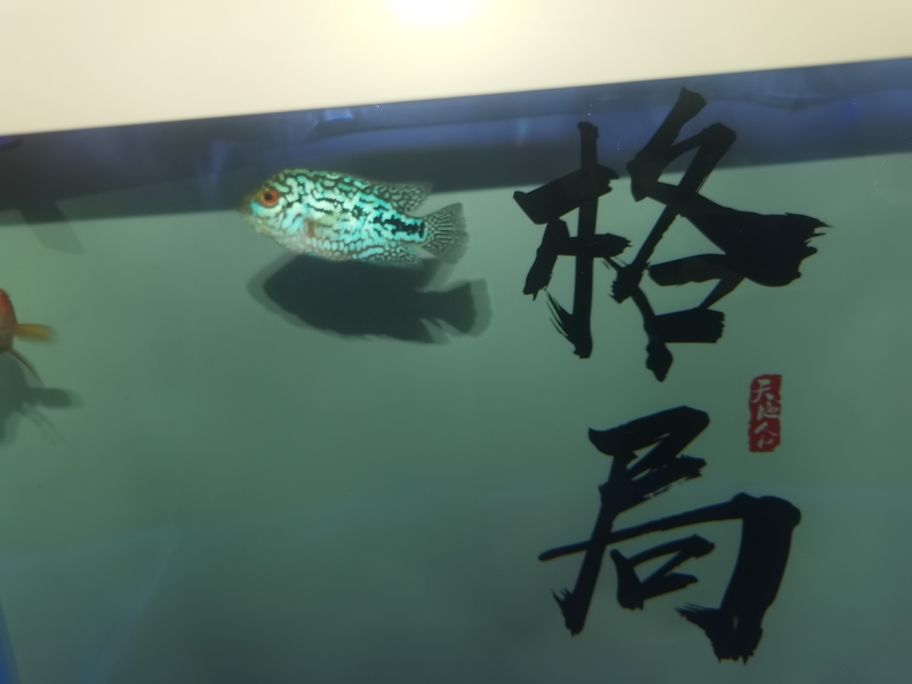 繼續發力中！阿泰加油[qiaoda][qiaoda][qiaoda][qiaoda]