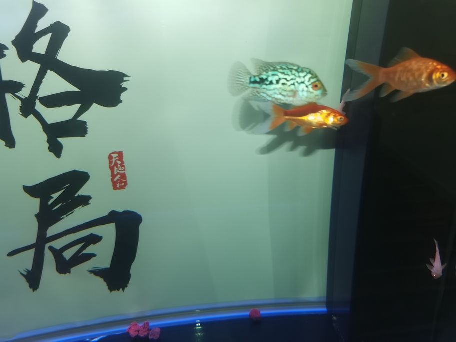 繼續發力中！阿泰加油[qiaoda][qiaoda][qiaoda][qiaoda]