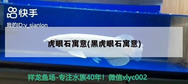 鸚鵡魚和銀龍魚混養(yǎng)怎樣喂食 虎眼石寓意(黑虎眼石寓意) 黃金貓魚百科 虎眼石寓意(黑虎眼石寓意) 虎眼石寓意(黑虎眼石寓意) 黃金貓魚百科