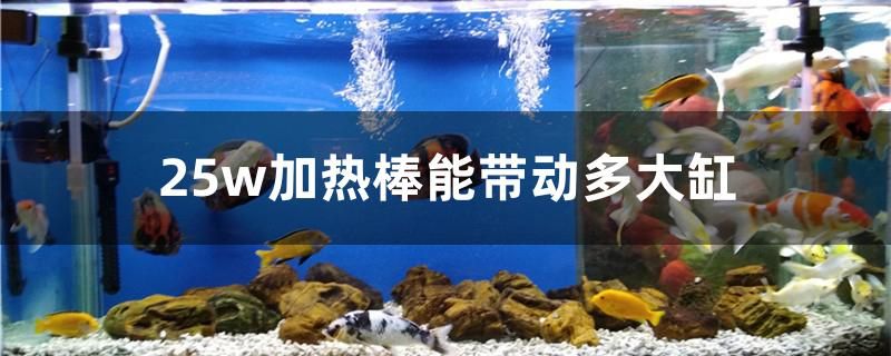 25w加熱棒能帶動(dòng)多大缸