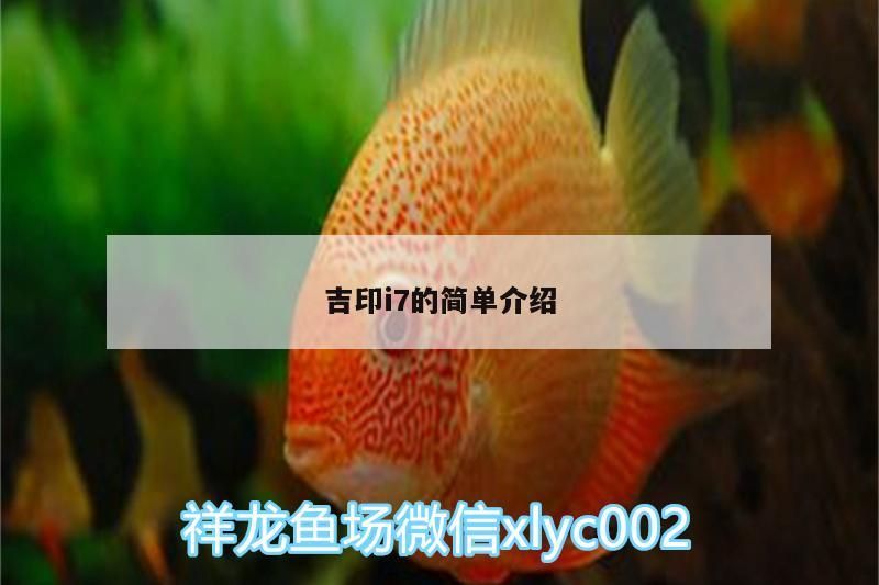 詳細(xì)閱讀:吉印i7的簡(jiǎn)單介紹 吉印i7的簡(jiǎn)單介紹
