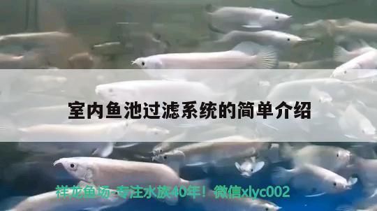 室內魚池過濾系統的簡單介紹