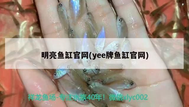 明亮魚缸官網(yee牌魚缸官網)