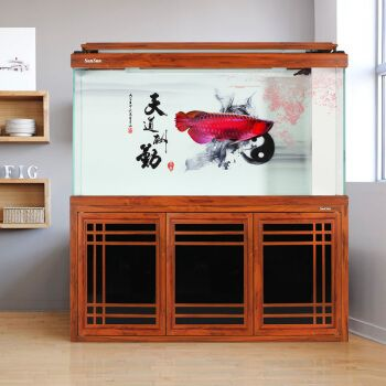 紅龍魚魚缸背景紙畫圖：紅龍魚魚缸背景紙畫圖布置方案，紅龍魚魚缸布置注意事項