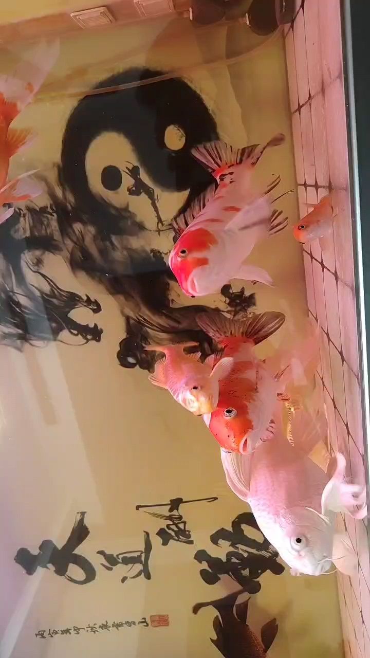 分享視頻