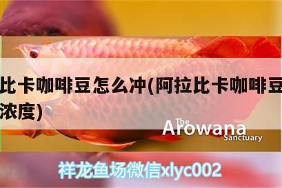 魚缸用增氧泵價格是多少:魚缸增氧機-xtrac增氧機-xtrac增氧機 阿拉比卡咖啡豆怎么沖(阿拉比卡咖啡豆沖泡出的濃度) 馬來西亞咖啡 阿拉比卡咖啡豆怎么沖(阿拉比卡咖啡豆沖泡出的濃度) 阿拉比卡咖啡豆怎么沖(阿拉比卡咖啡豆沖泡出的濃度) 馬來西亞咖啡