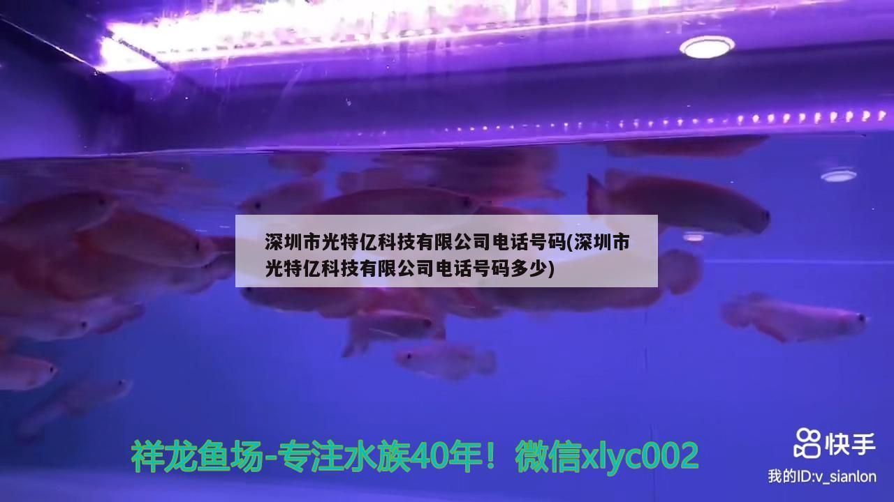 深圳市光特億科技有限公司電話號碼(深圳市光特億科技有限公司電話號碼多少)