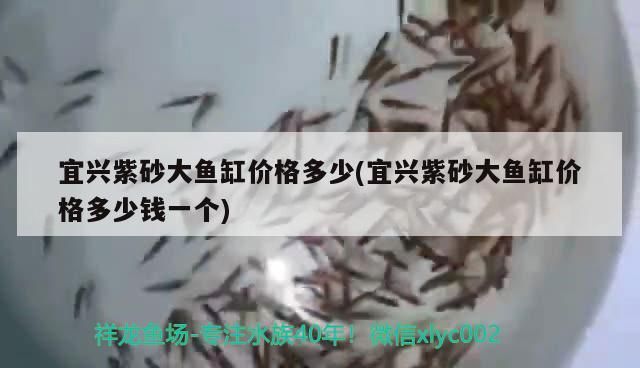 宜興紫砂大魚缸價格多少(宜興紫砂大魚缸價格多少錢一個)