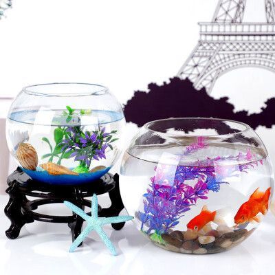 30厘米小魚缸造景：100個人喜歡的草缸造景教程，教你如何在30厘米魚缸中造景 30厘米小魚缸造景：100個人喜歡的草缸造景教程，教你如何在30厘米魚缸中造景 魚缸百科 第4張