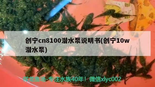 創寧cn8100潛水泵說明書(創寧10w潛水泵)