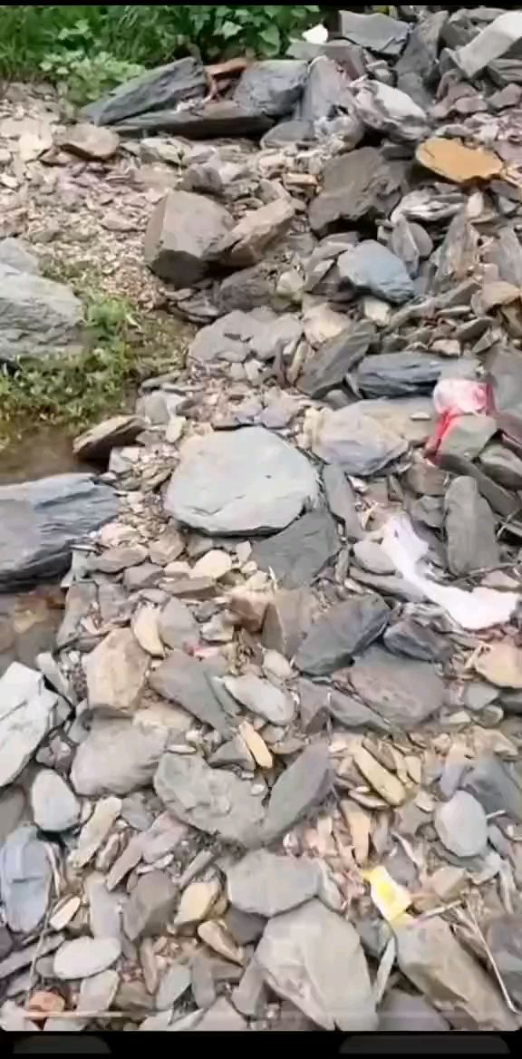 溪流石 溪流石 龍魚論壇