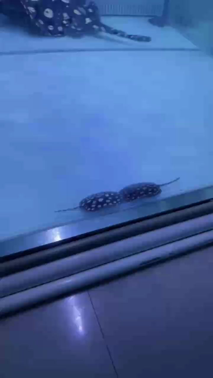 收獲滿滿