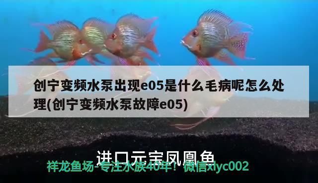 創寧變頻水泵出現e05是什么毛病呢怎么處理(創寧變頻水泵故障e05)