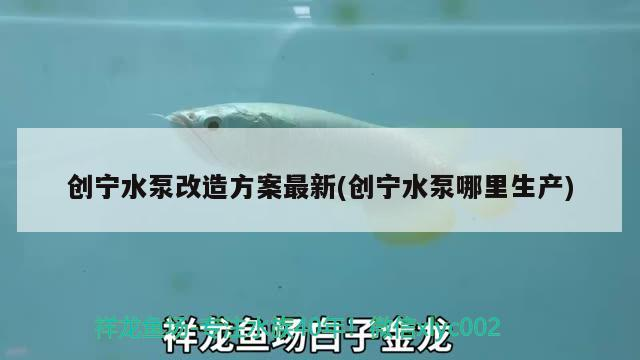 創寧水泵改造方案最新(創寧水泵哪里生產)