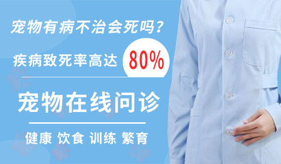 魚缸龍魚怎么抓魚視頻：魚缸中的獵手，龍魚抓魚的奧秘與技巧