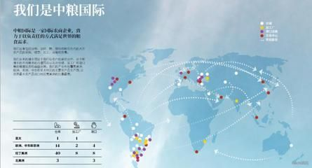 金龍魚國際市場拓展計劃：金龍魚國際市場拓展計劃的詳細解析