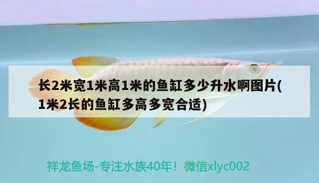 長2米寬1米高1米的魚缸多少升水啊圖片(1米2長的魚缸多高多寬合適)