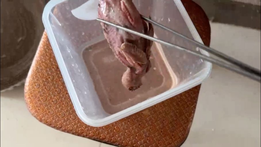 能吃是福