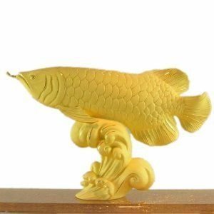 金龍魚用馬印：金龍魚使用馬印燈可以輔助發(fā)色過程 金龍魚用馬印：金龍魚使用馬印燈可以輔助發(fā)色過程 馬印水族 第4張