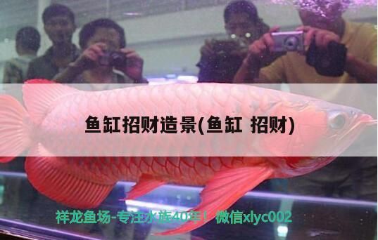 魚缸招財造景(魚缸招財) 魚缸招財造景(魚缸招財) 錦鯉魚百科