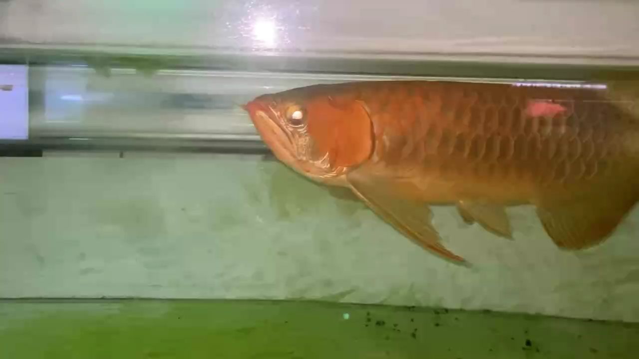 帥得沒朋友了