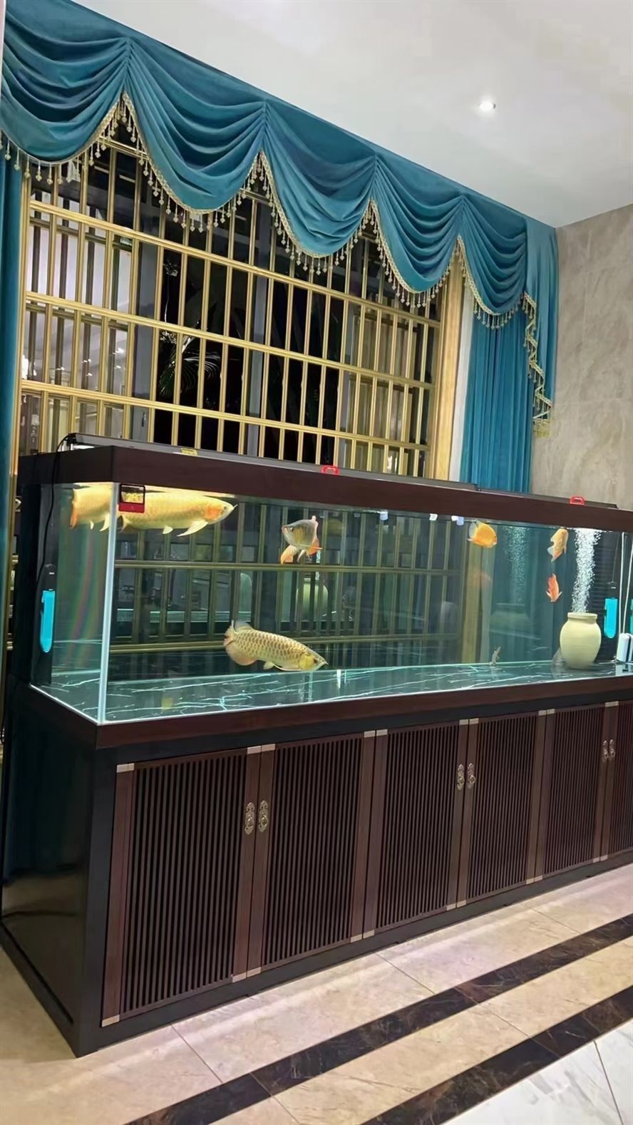 養魚喝茶是不是不分家