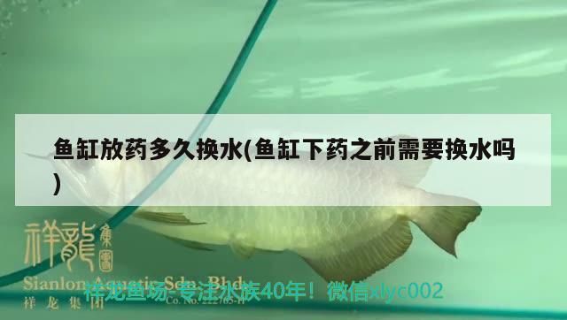 魚缸放藥多久換水(魚缸下藥之前需要換水嗎)