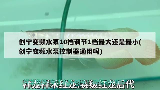 我的虎魚真菌感染了要怎么處理 創寧變頻水泵10檔調節1檔最大還是最小(創寧變頻水泵控制器通用嗎) 創寧水族 創寧變頻水泵10檔調節1檔最大還是最小(創寧變頻水泵控制器通用嗎) 創寧變頻水泵10檔調節1檔最大還是最小(創寧變頻水泵控制器通用嗎) 創寧水族