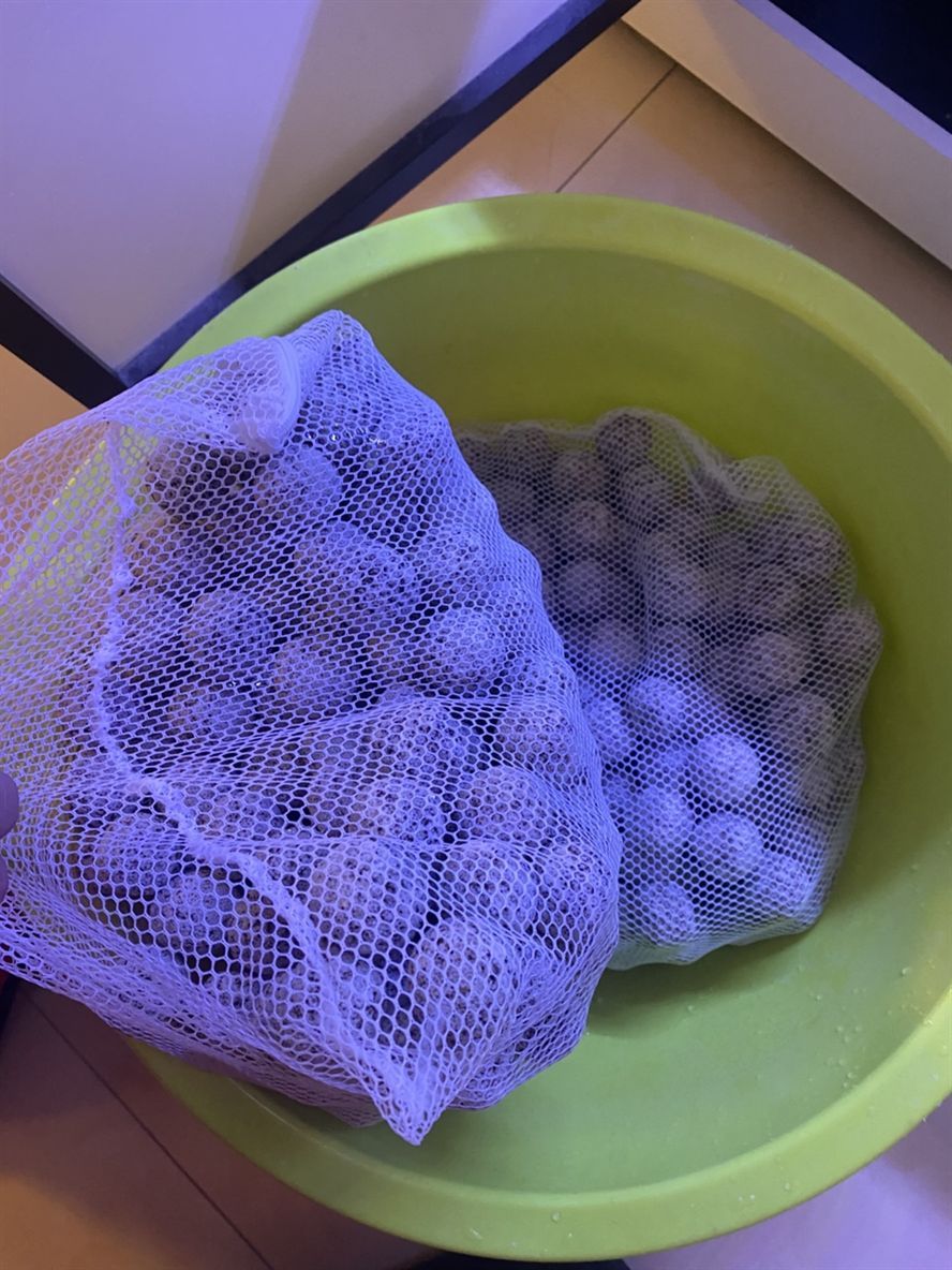 新購濾材 新購濾材 龍魚論壇 第1張