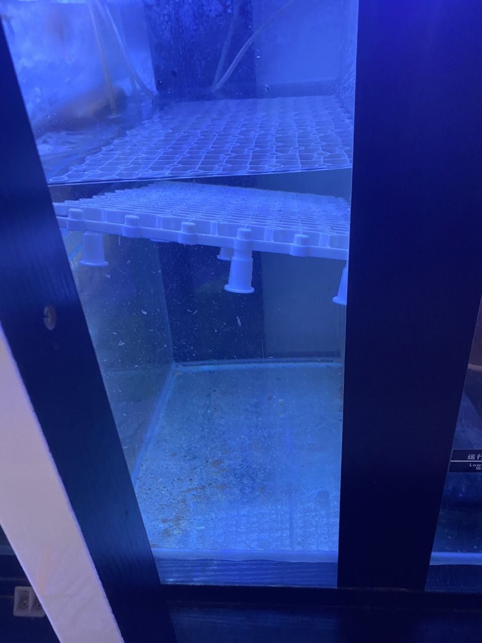 新購濾材 新購濾材 龍魚論壇 第2張