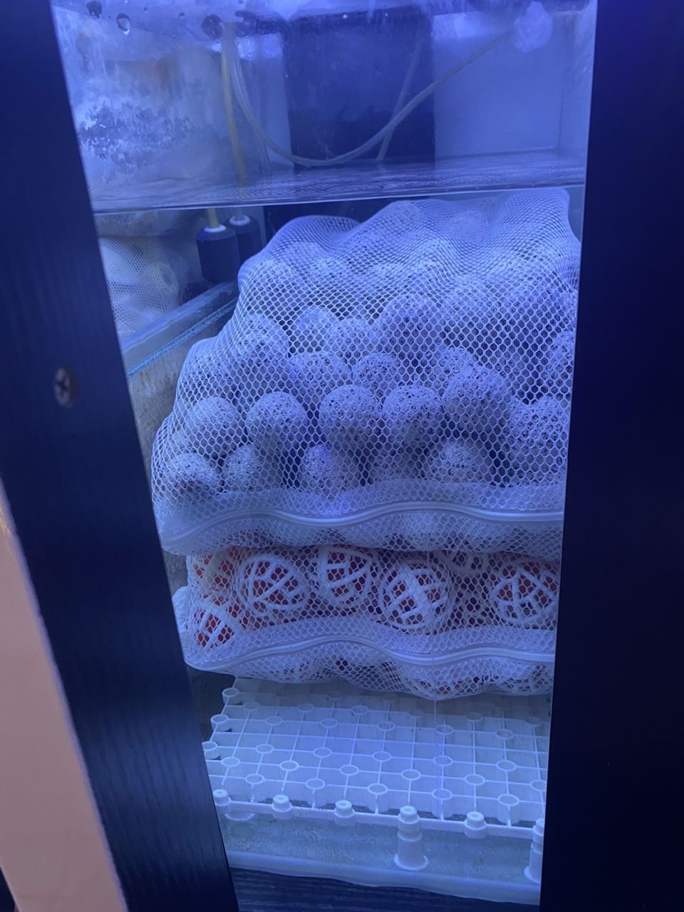 新購濾材 新購濾材 龍魚論壇 第3張