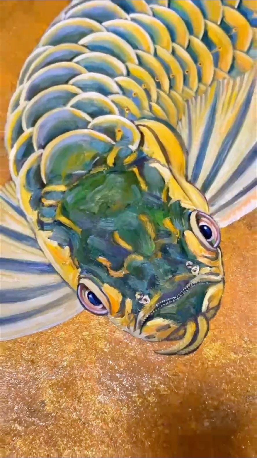 顯靈吧，神龍！ 顯靈吧，神龍！ 龍魚論壇