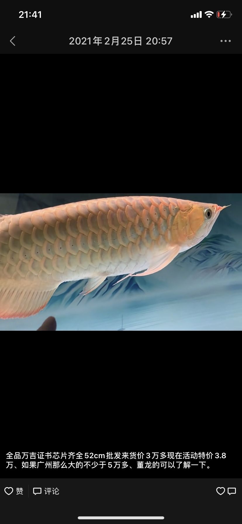 孟吉爾萬吉和F1賣臭牌子后換名赤辰紅點