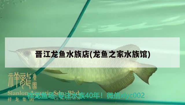 晉江龍魚水族店(龍魚之家水族館)