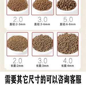 魚(yú)和龍?jiān)谝黄鸬膱D是什么意思？解讀東西方文化中的象征與寓意 魚(yú)和龍?jiān)谝黄鸬膱D是什么意思？解讀東西方文化中的象征與寓意 龍魚(yú)百科 第3張