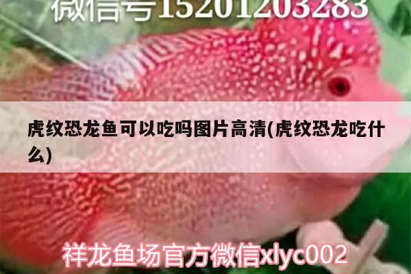 十大不建議購買的魚缸魚缸，十大不建議購買的魚缸