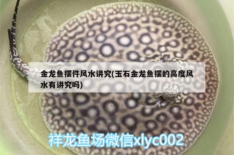 十大不建議購買的魚缸魚缸，十大不建議購買的魚缸