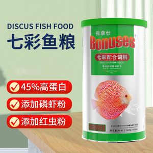 魚躍龍門財源廣，從成語看魚與財運的千年文化密碼