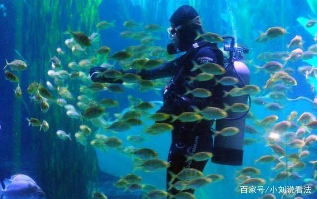 中國(guó)第一大水族館：上海海洋水族館