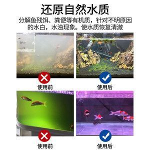 森森硝化細菌為什么是臭的